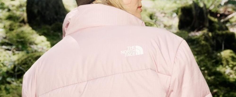 Product/brand image for The North Face