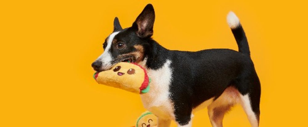 Product/brand image for BARK